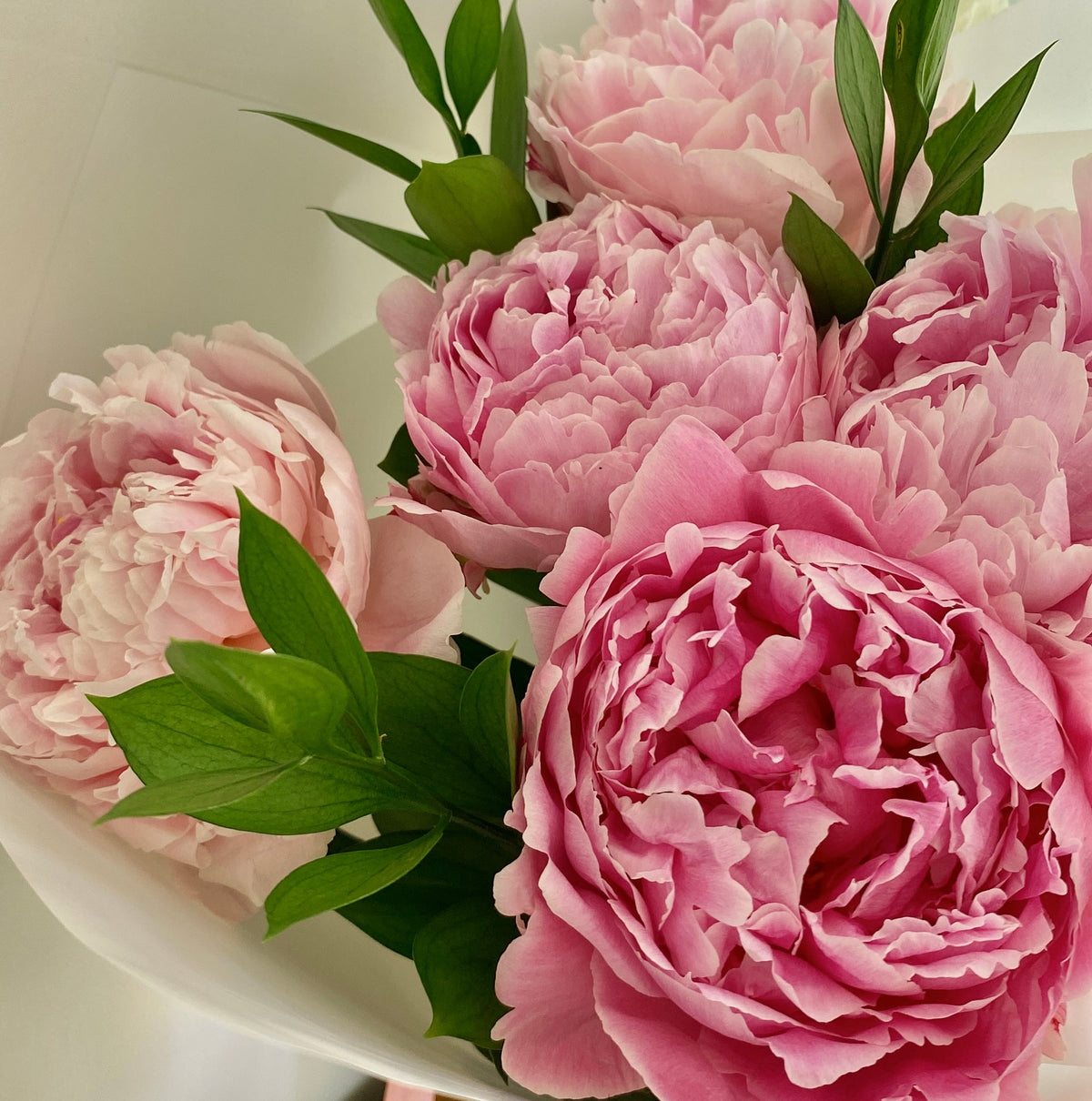 Ramos de Peonias Frescas