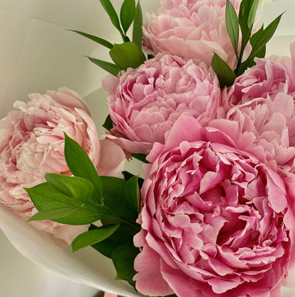 Ramos de Peonias Frescas