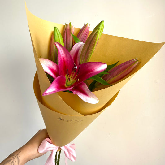 Varas de Lilium Oriental