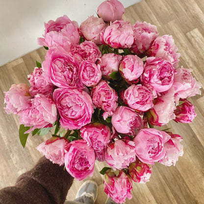 Ramos de Peonias Frescas