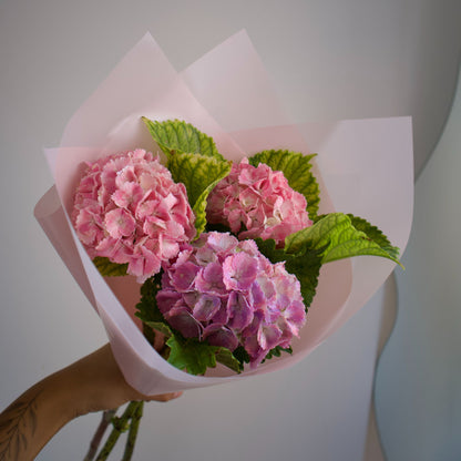 Ramo de Hortensias