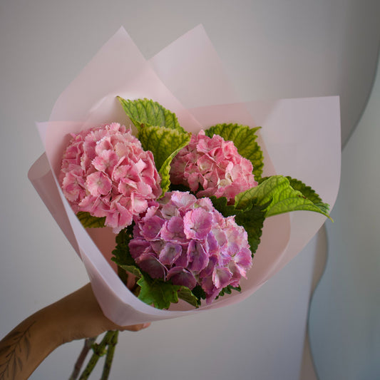 Ramo de Hortensias